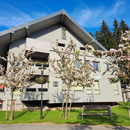 Wellness Apartment Josefina - Free Grotta Spa Wellness Harrachov Buitenkant foto