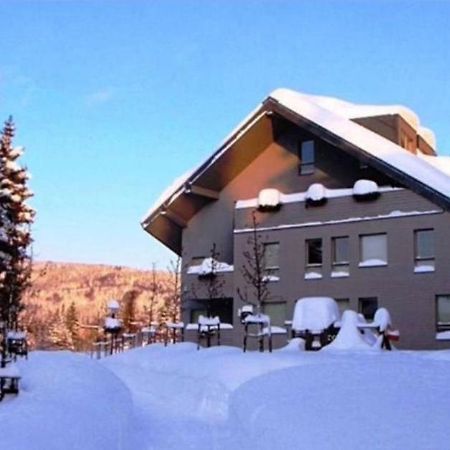 Wellness Apartment Josefina - Free Grotta Spa Wellness Harrachov Buitenkant foto